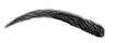 A black and white image of an eyebrow.