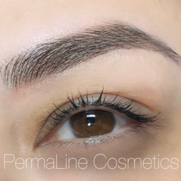 A woman's eye with long lashes and eyebrows.